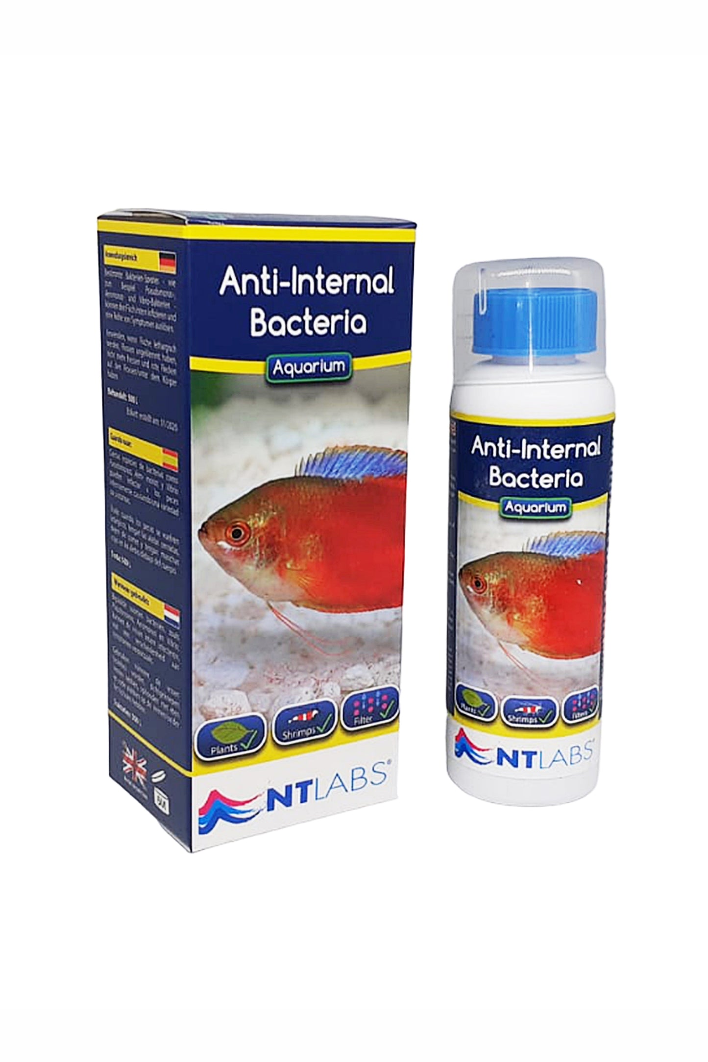 Remedio contra Infecciones Bacterianas: Anti Internal Bacteria de NTLABS (100 ml)