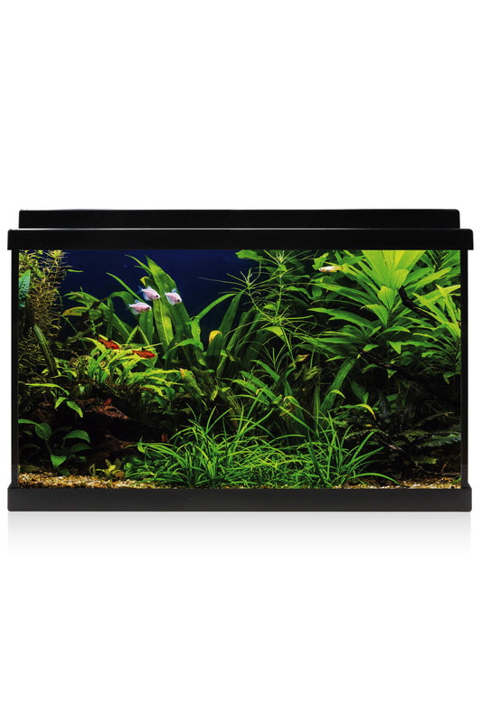 AquaLED 64 Aquarium-Set mit Innenfilter (64 Liter), Schwarz