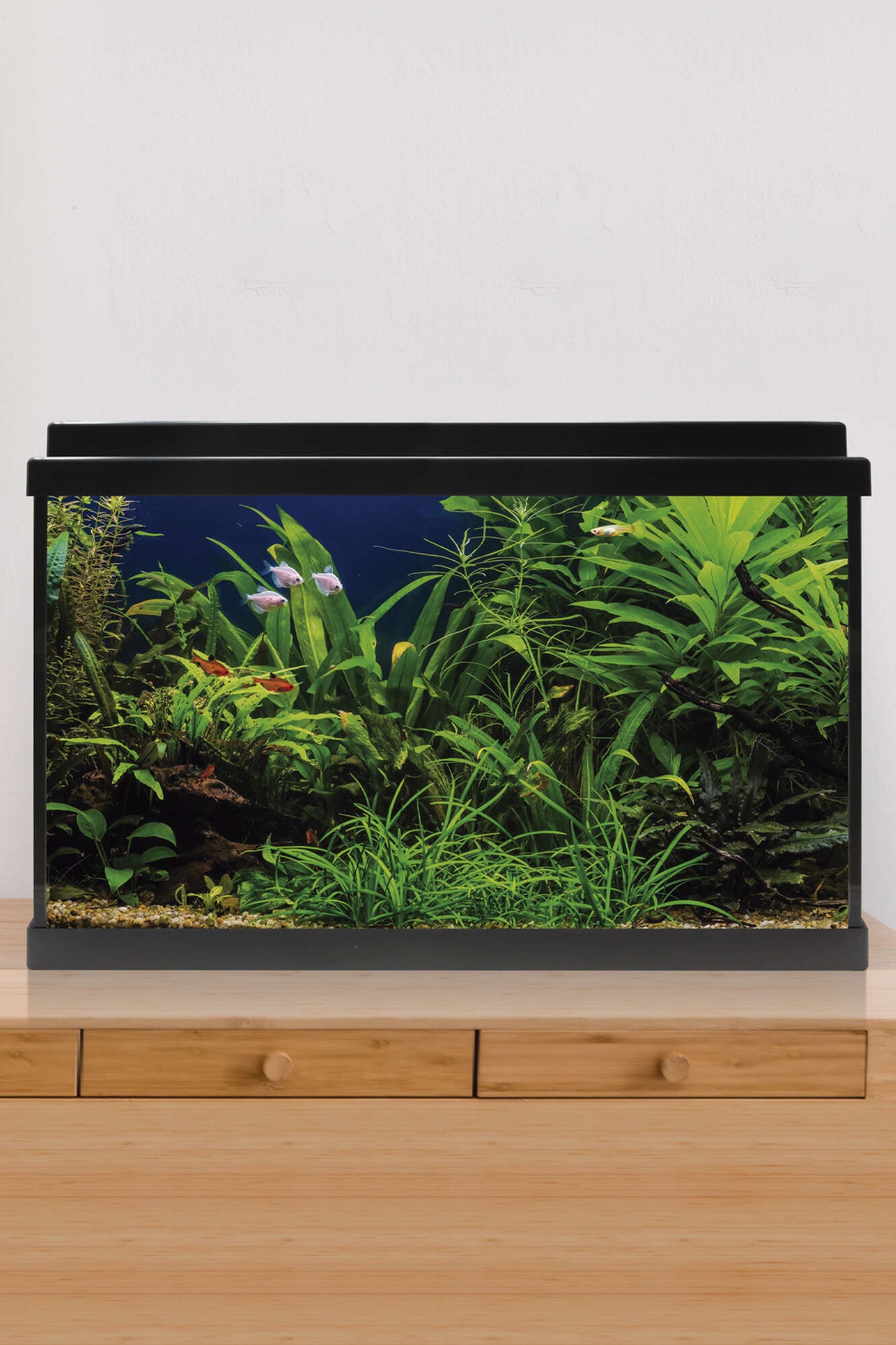 AquaLED 64 Aquarium-Set mit Innenfilter (64 Liter), Schwarz