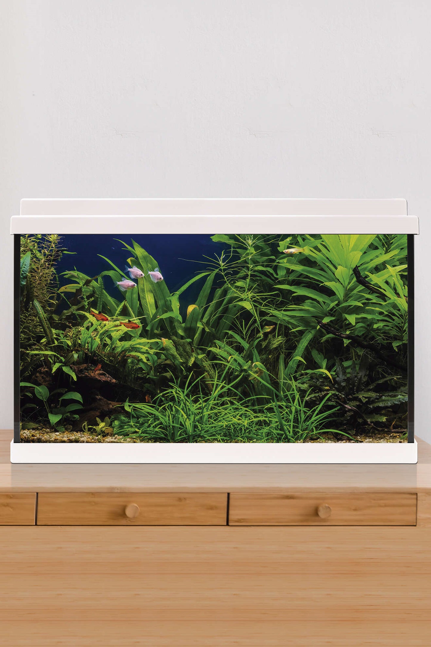 AquaLED 64 Aquarium-Set mit Innenfilter (64 Liter), Weiß