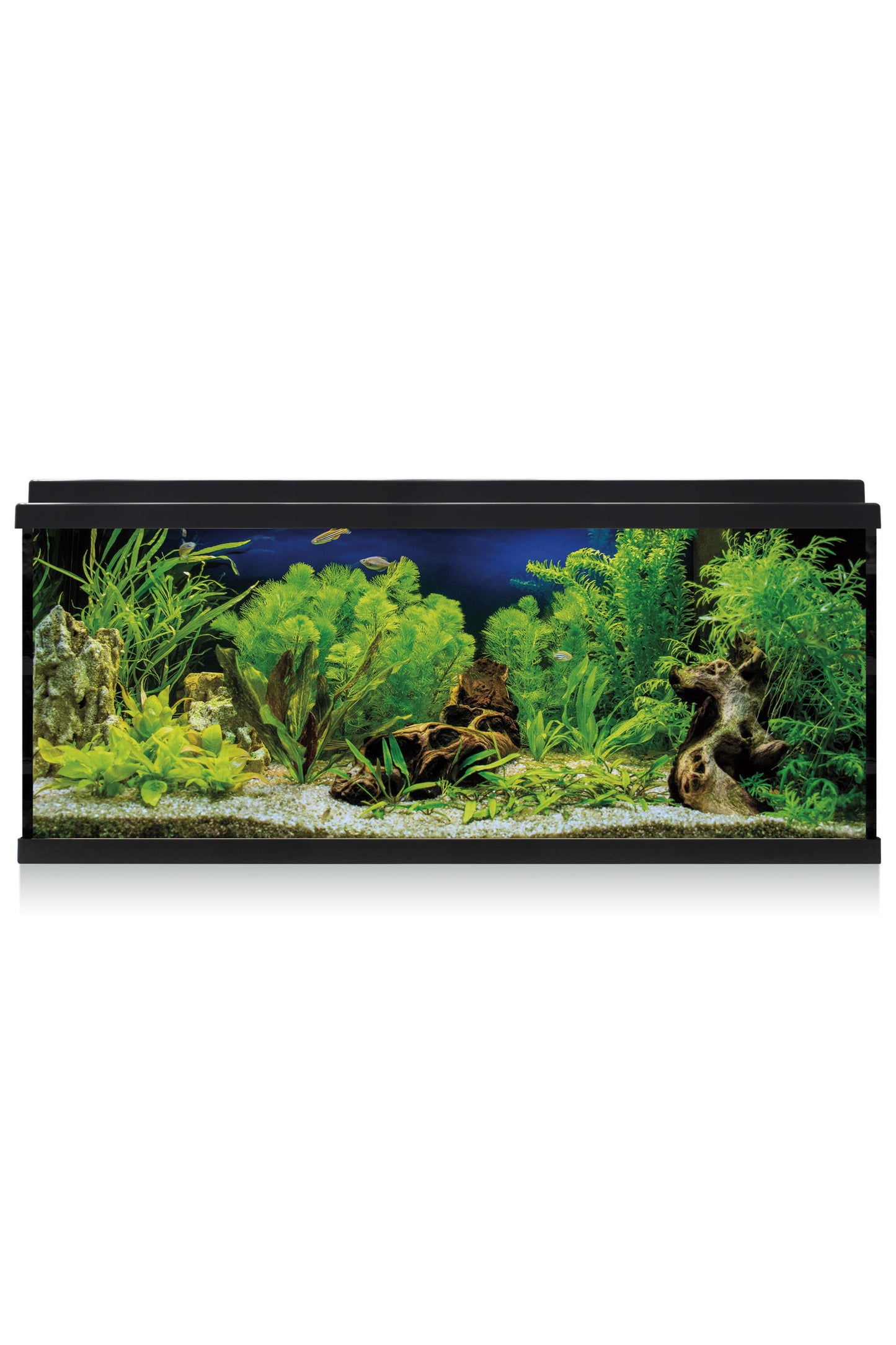 AquaLED 100 Aquarium-Set mit Innenfilter (100 Liter)