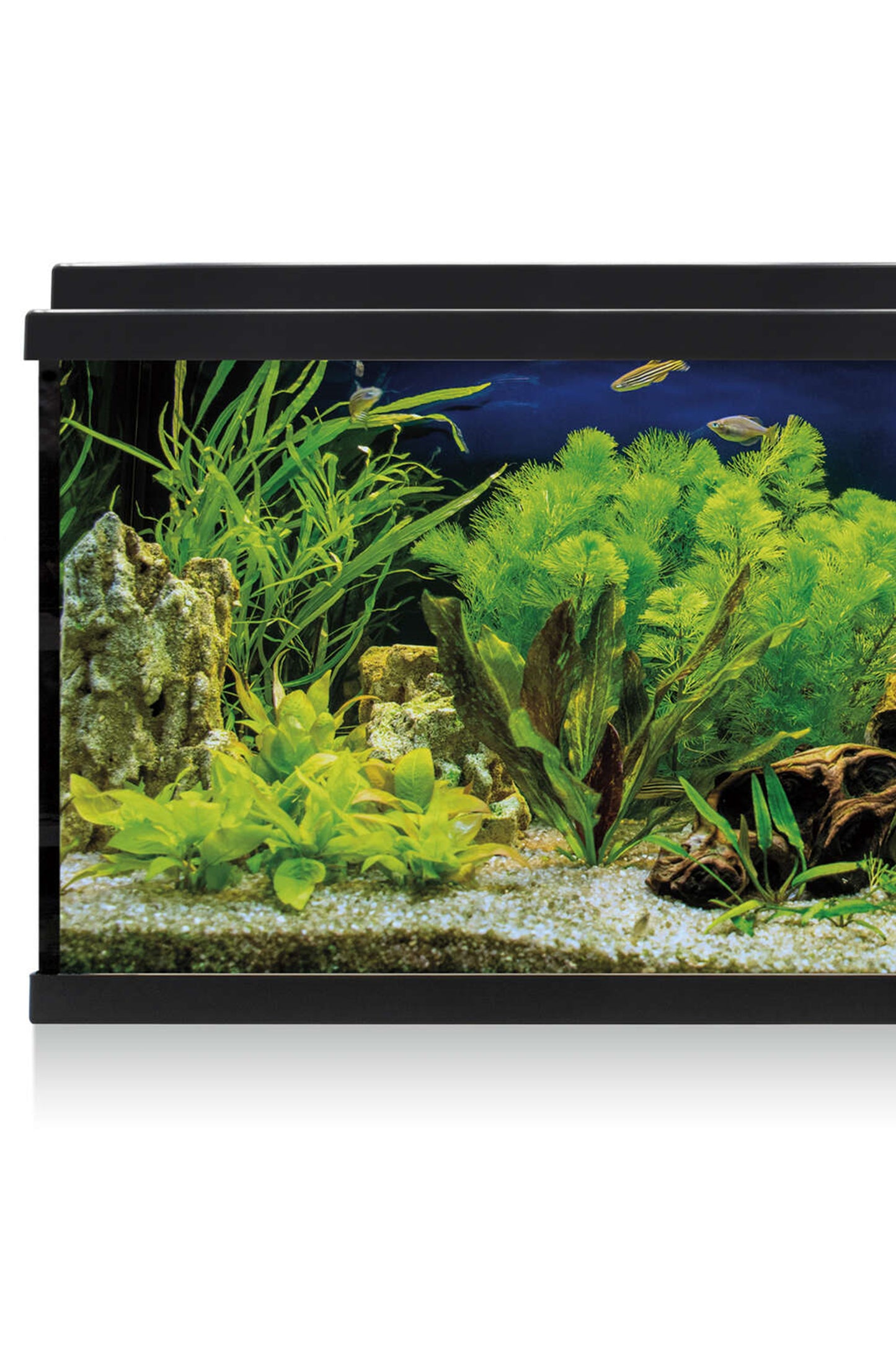 AquaLED 100 Aquarium-Set mit Innenfilter (100 Liter)