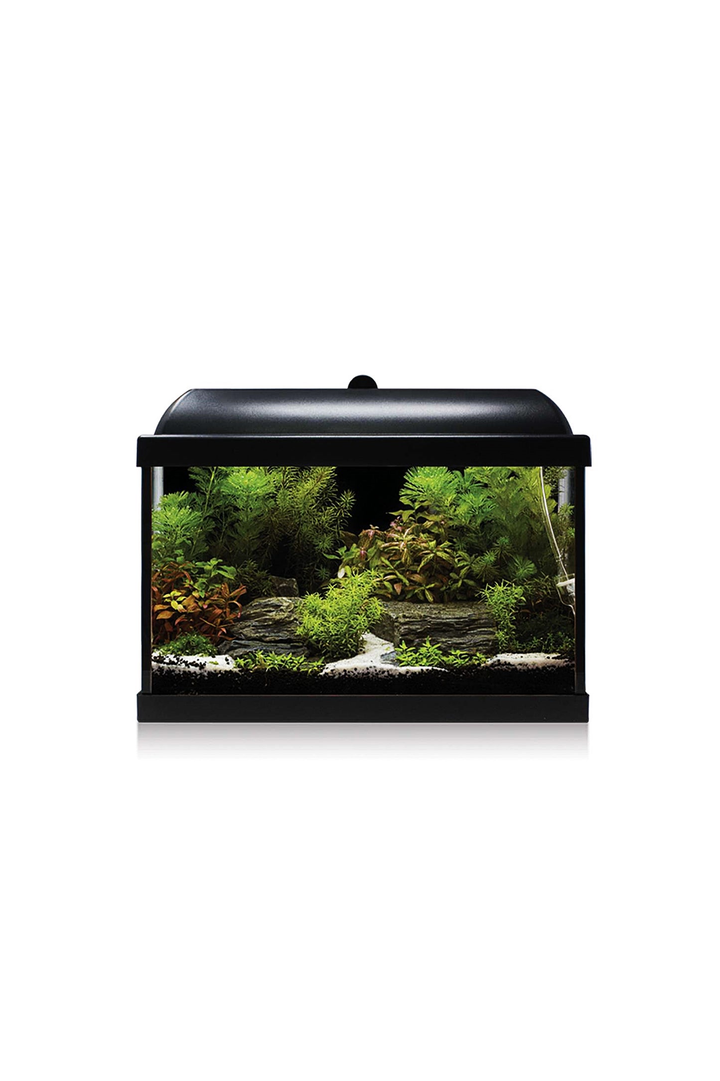 Acuario Kit AquaLED PRO 25 con Filtro Interior (25 litros) Negro