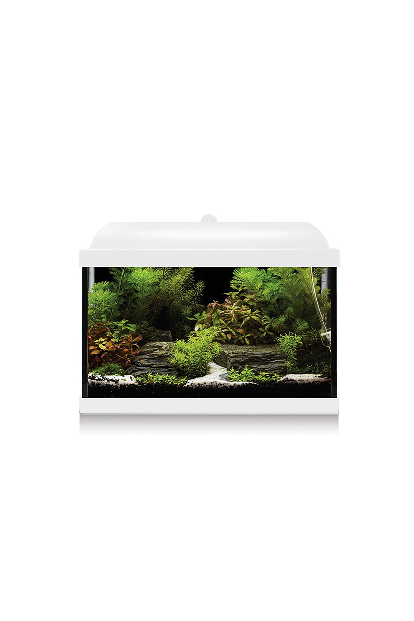 Acuario Kit AquaLED PRO 25 con Filtro Interior (25 litros) Blanco