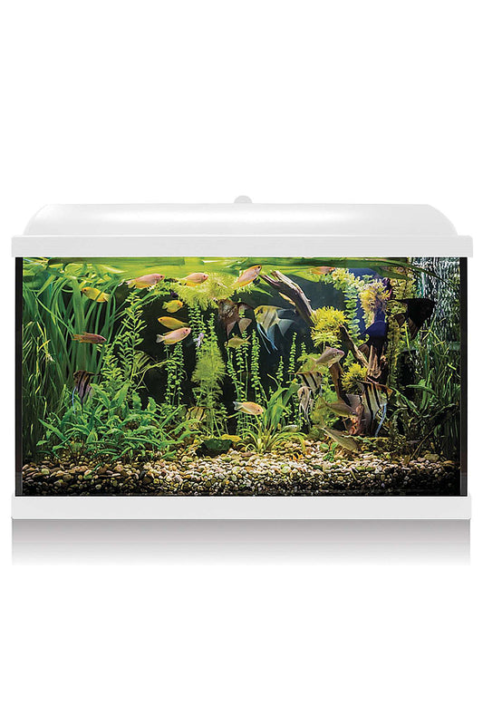 AquaLED PRO 68 Aquarium-Set mit Innenfilter (68 Liter), Weiß