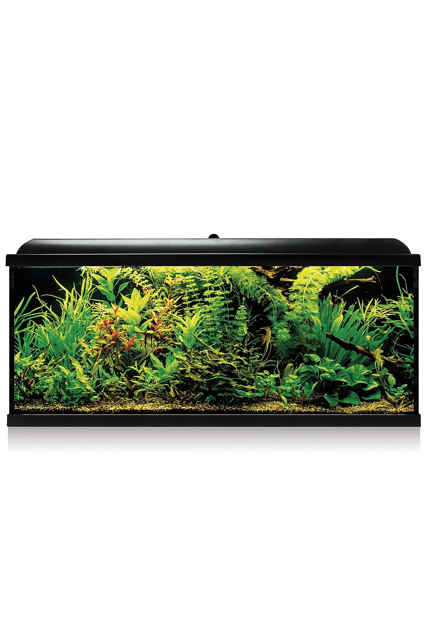 AquaLED PRO 100 - Acuario de 100 litros en Negro