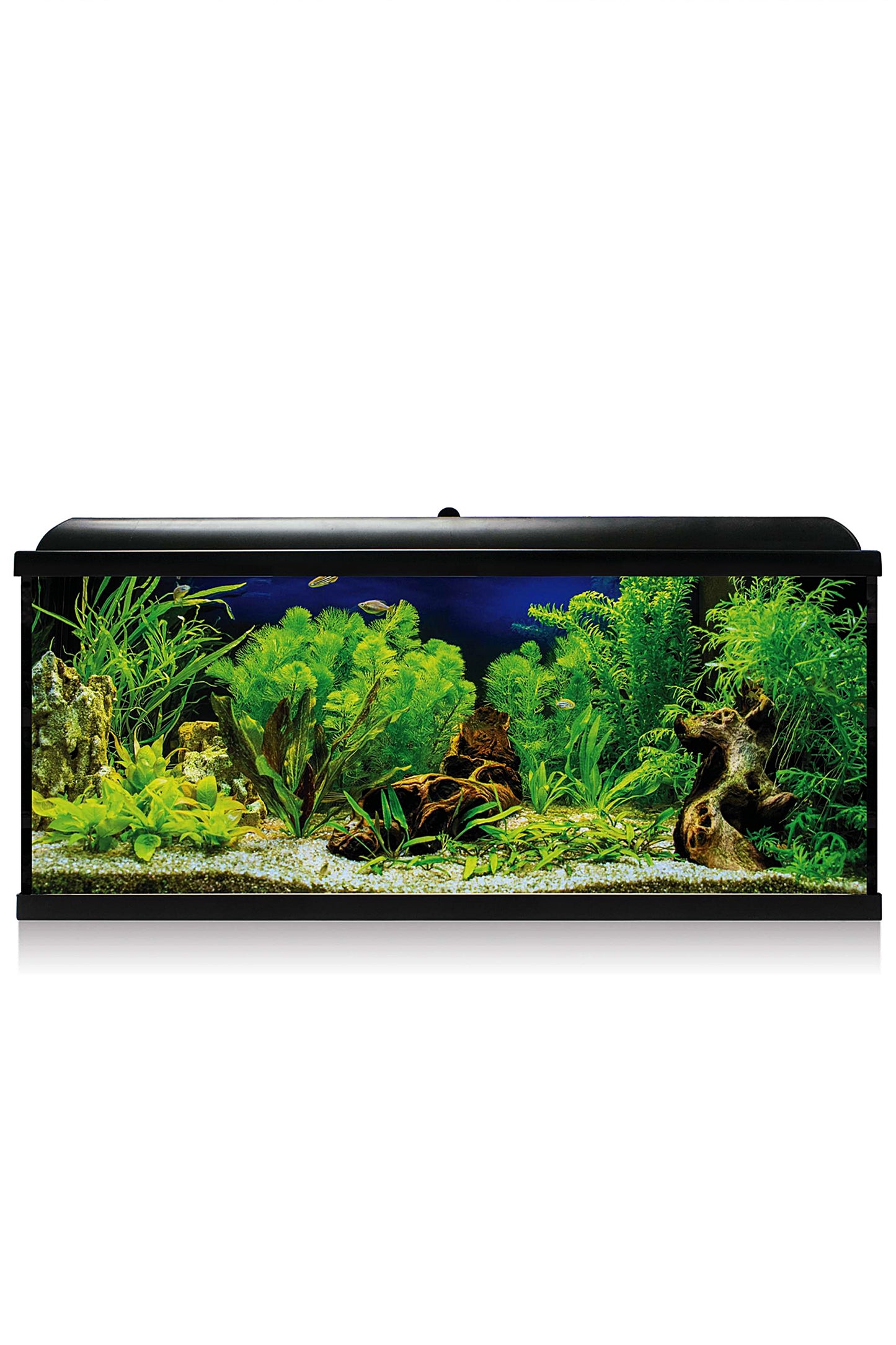 AquaLED PRO 130 Aquarium-Set mit Innenfilter (130 Liter), Schwarz