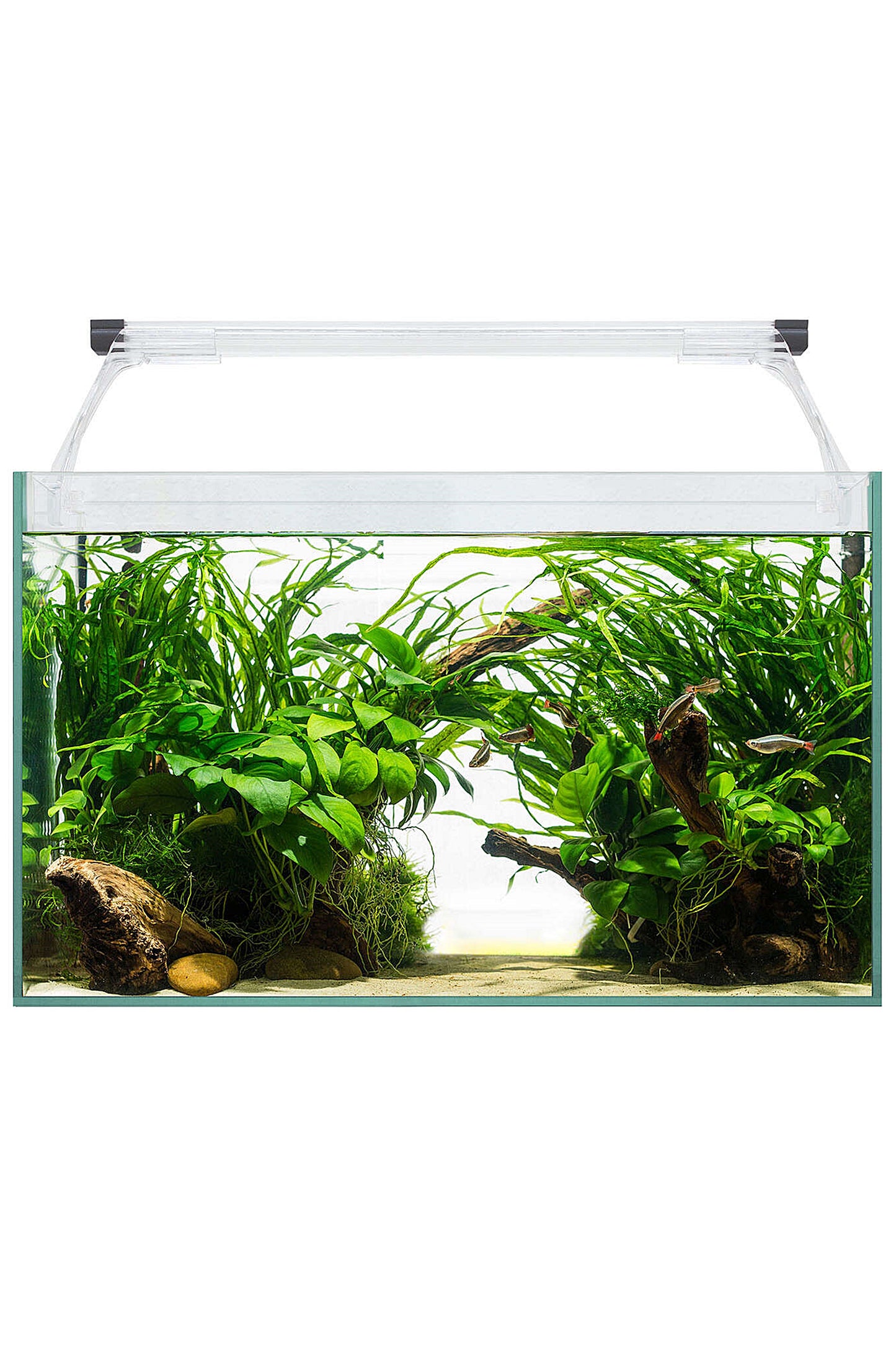 Acuario Kit Aqua Light Glass 40 (21 litros)