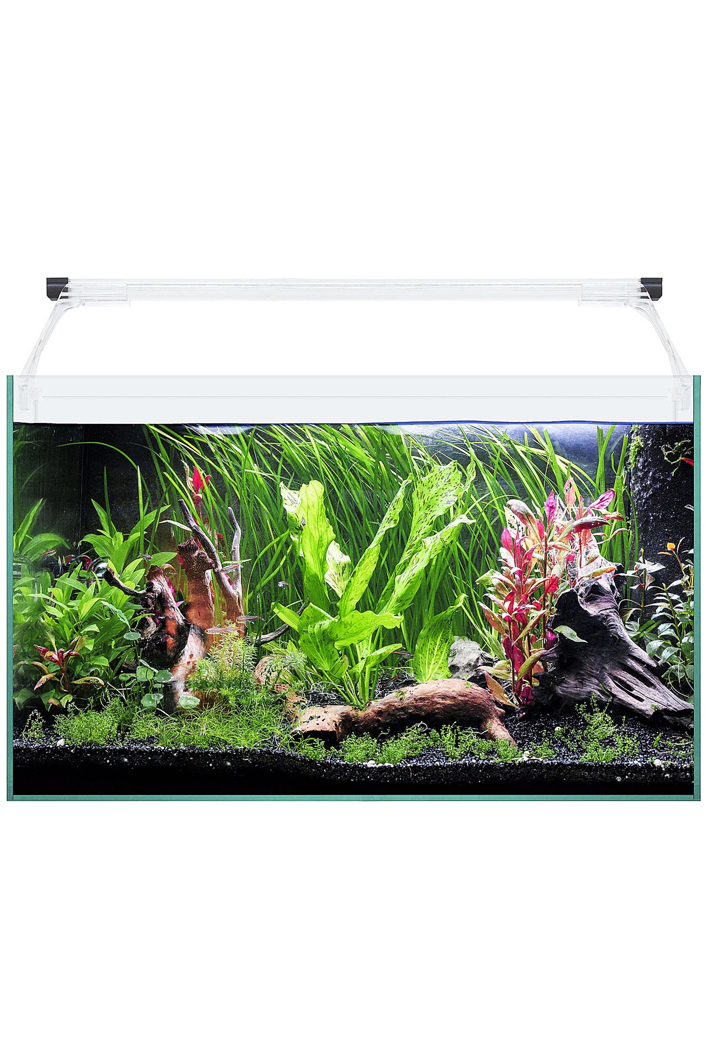 Acuario Kit AquaLight Glass 50 de 41 litros