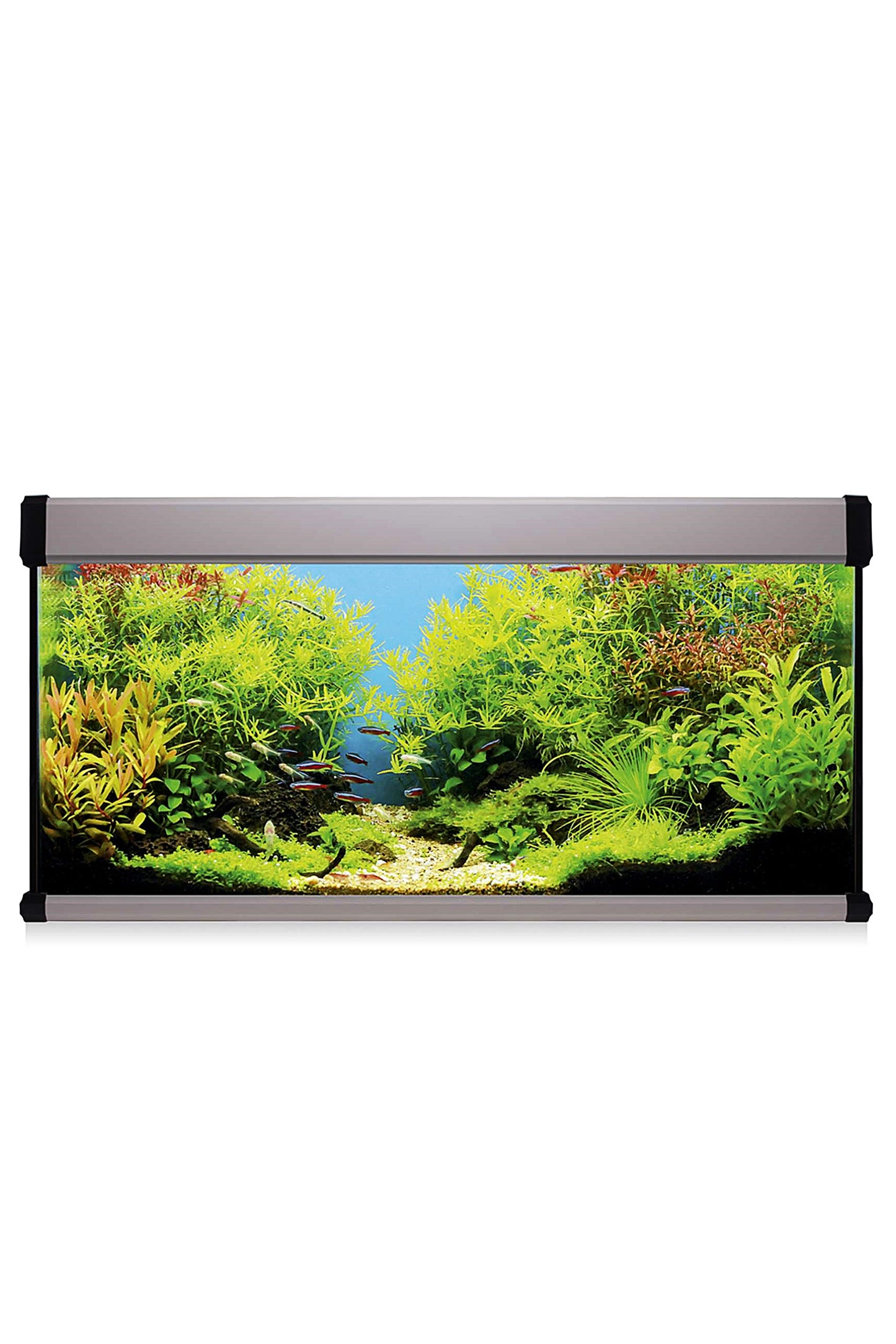 Kit AquaLUX PRO 130 - Acuario de 130 litros Plateado