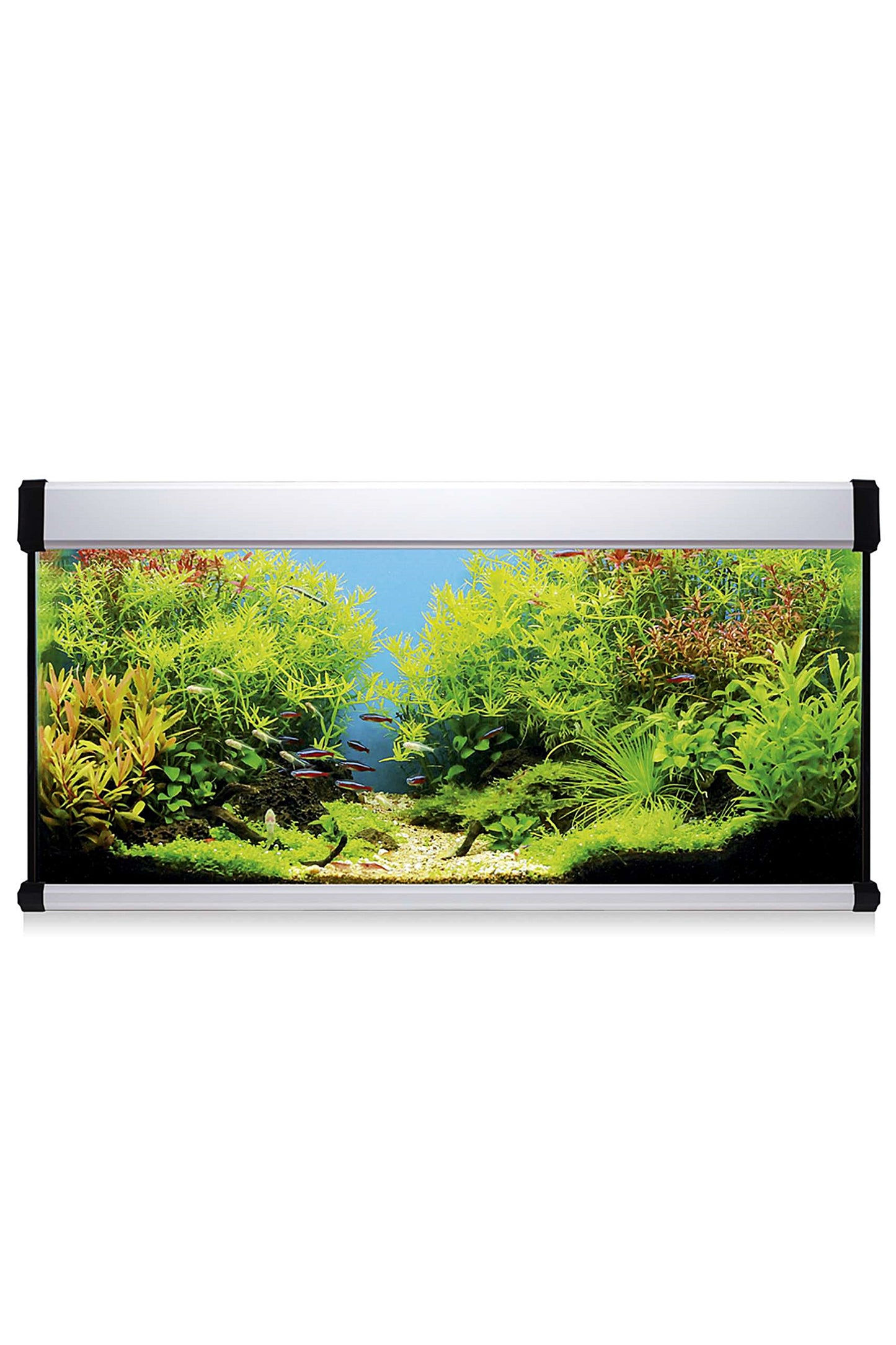 Acuario Kit AquaLux PRO 168 con Filtro Exterior (168 litros) Blanco