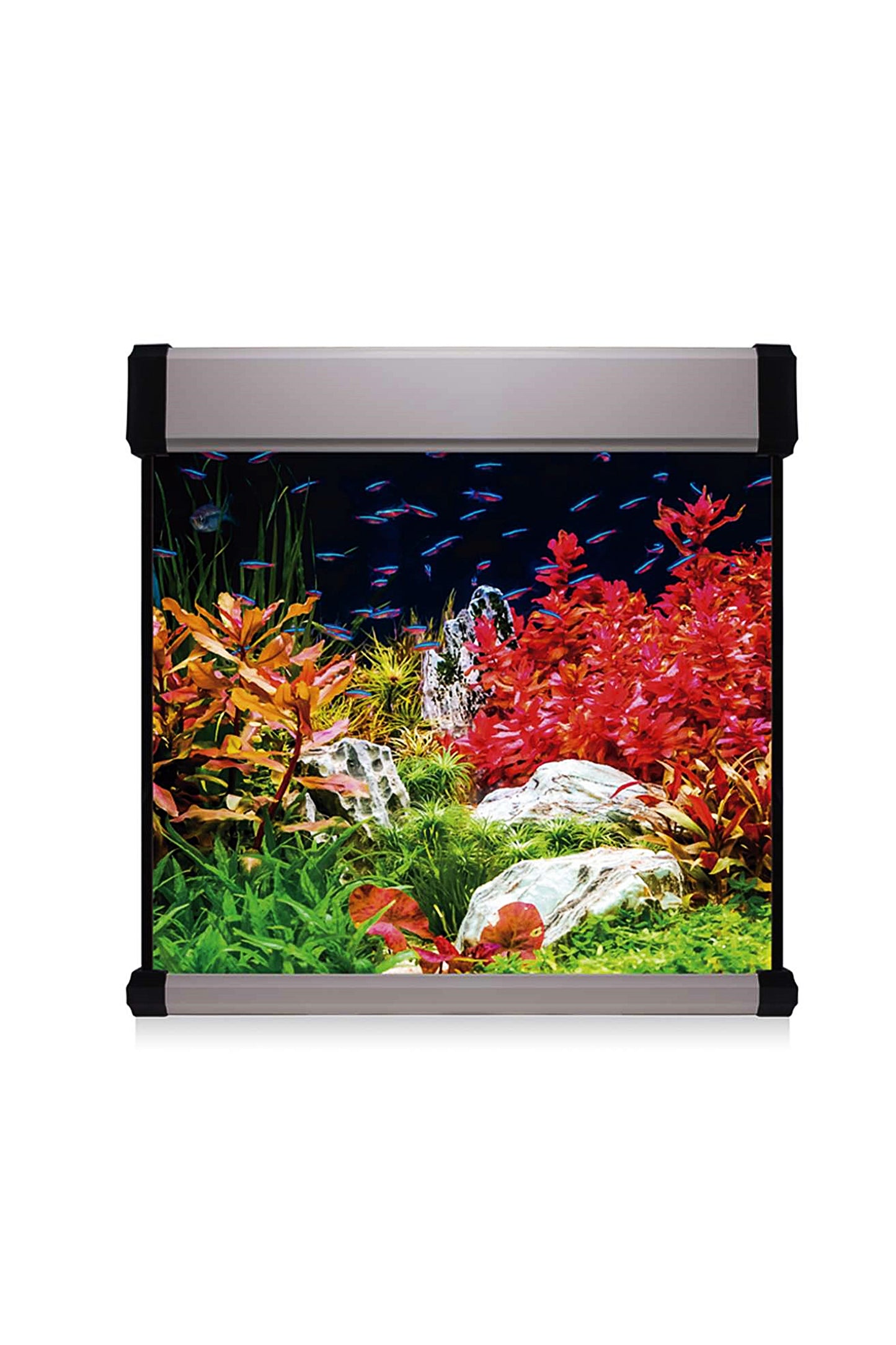 Acuario Kit AquaLux PRO 190 con Filtro Exterior (190 litros) Plateado