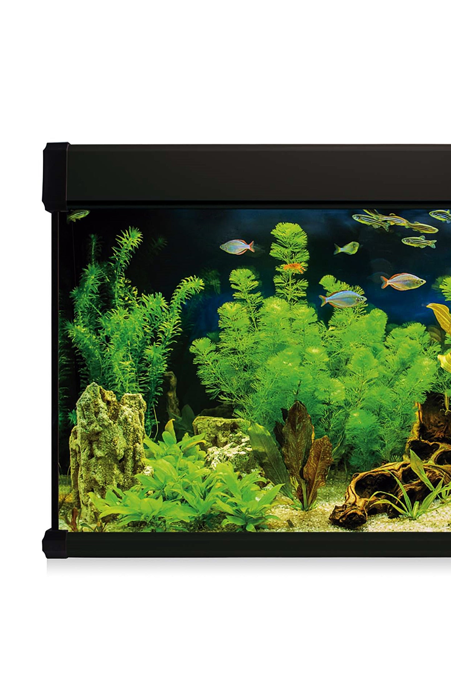 Acuario Kit AquaLux PRO 200 con Filtro Exterior (200 litros) Negro