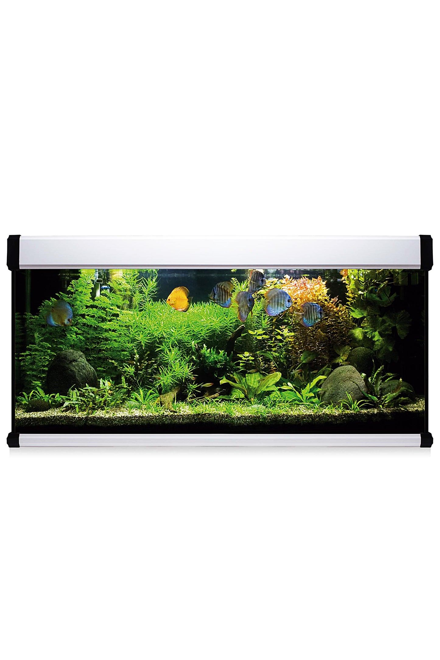 AquaLux PRO 240 Aquarium-Set mit Außenfilter (240 Liter), Weiß