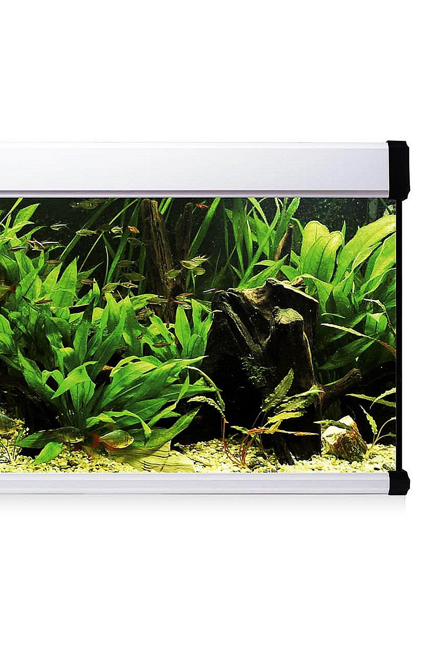 AquaLux PRO 240 Aquarium-Set mit Außenfilter (240 Liter), Weiß