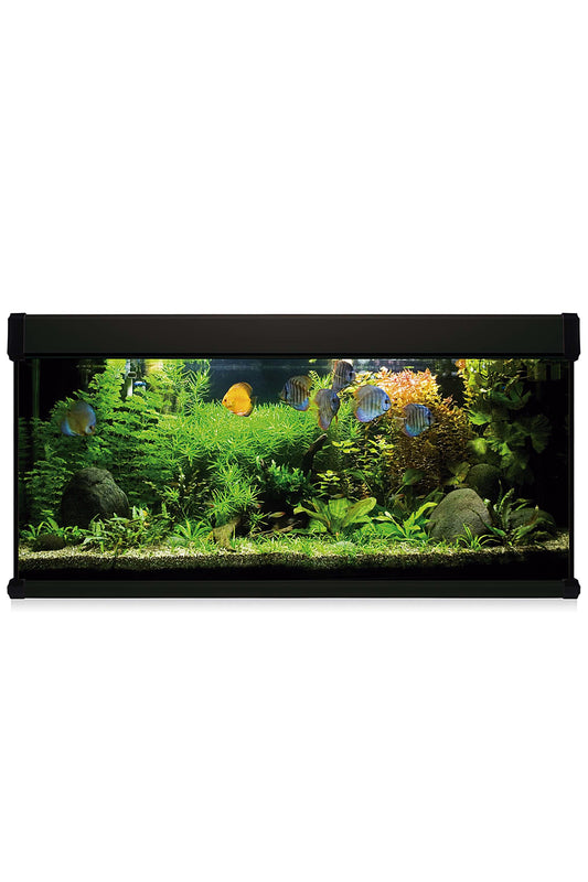 Acuario Kit AquaLux PRO 240 con Filtro Exterior (240 litros) Negro