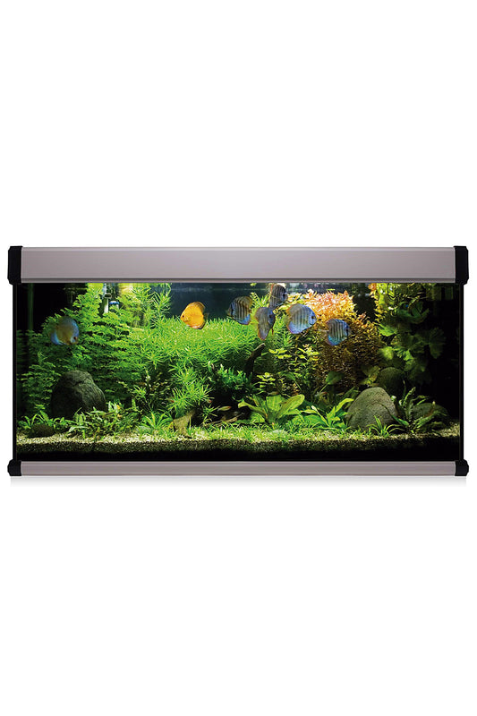 AquaLux PRO 240 Aquarium-Set mit Außenfilter (240 Liter), Silber