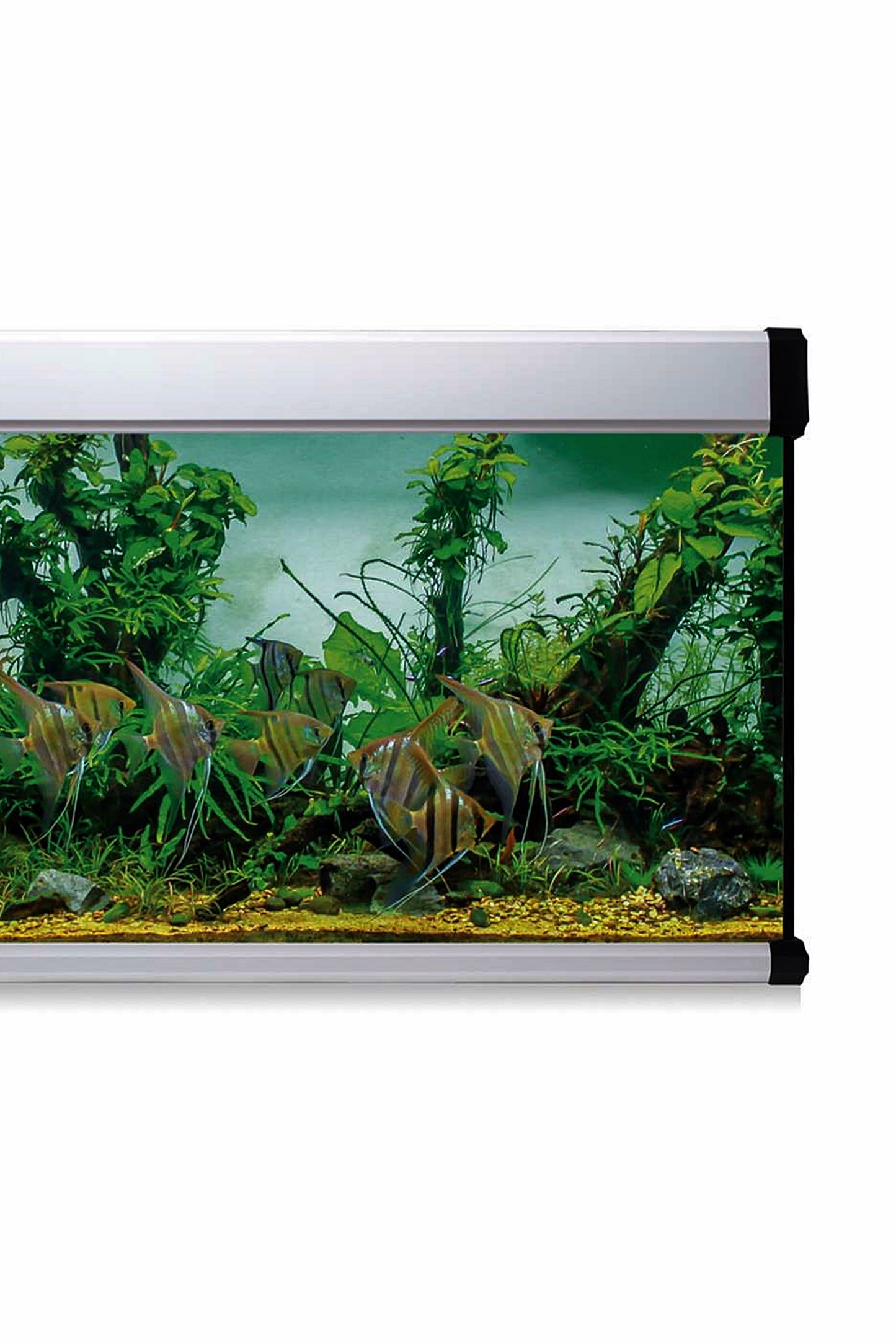 AquaLux PRO 450 Aquarium-Set mit Außenfilter (450 Liter), Weiß