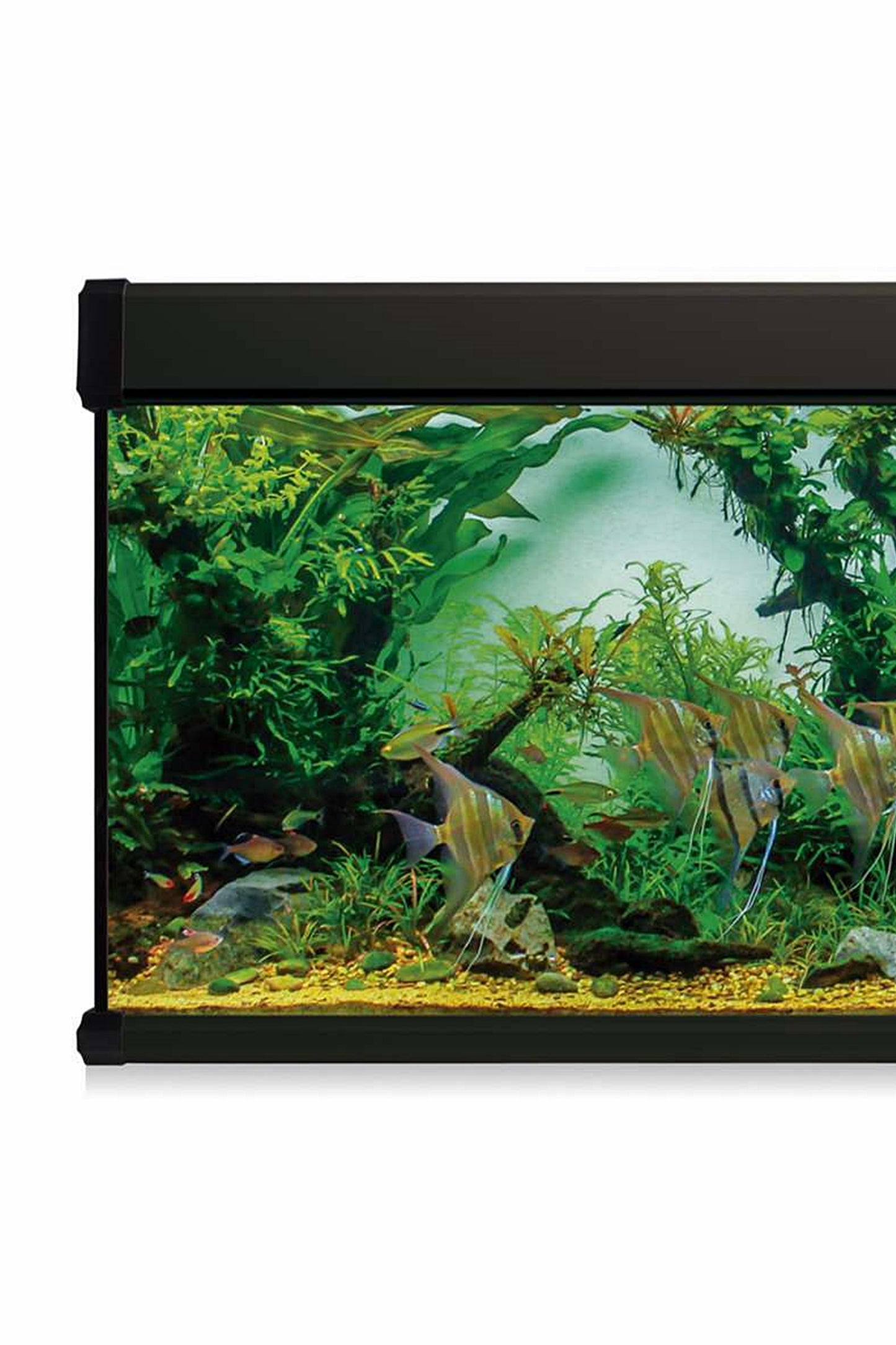 Acuario Kit AquaLux PRO 450 con Filtro Exterior (450 litros) Negro