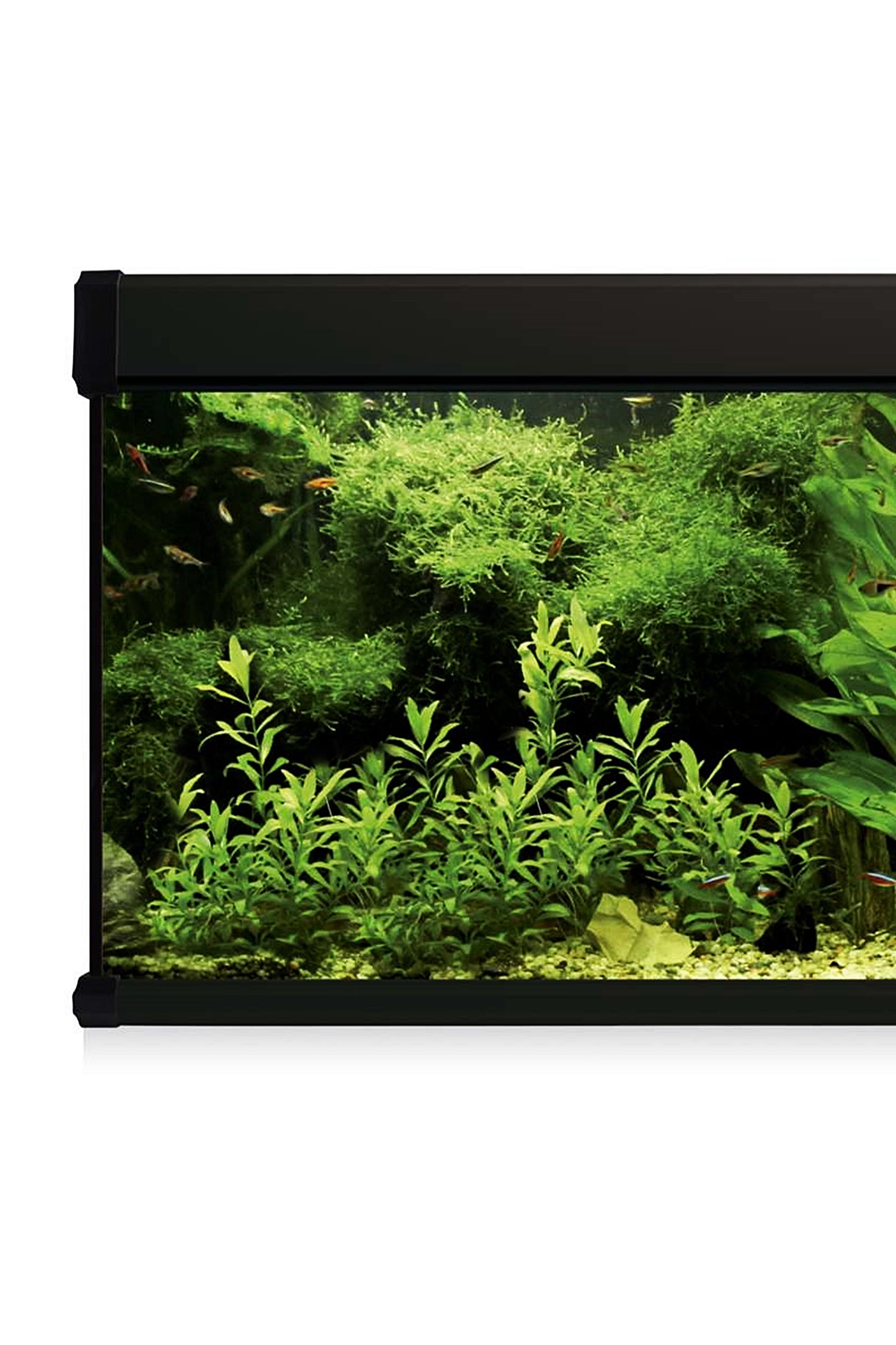 Acuario Kit AquaLux PRO 600 con Filtro Exterior (600 litros) Negro