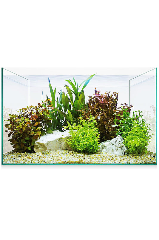 AquaScape Basic 8 Urne (6,8 Liter)