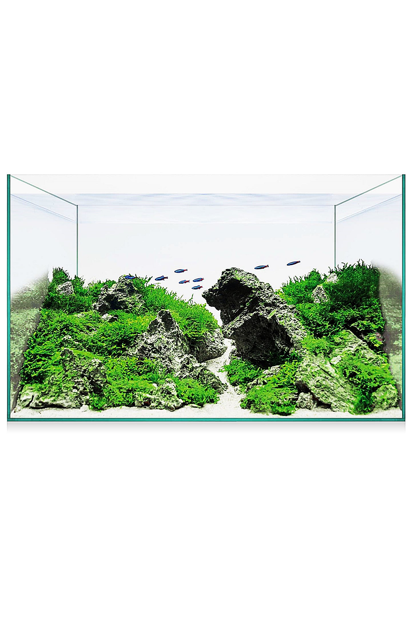 Urna AquaScape Basic 14 (12,7 litros)