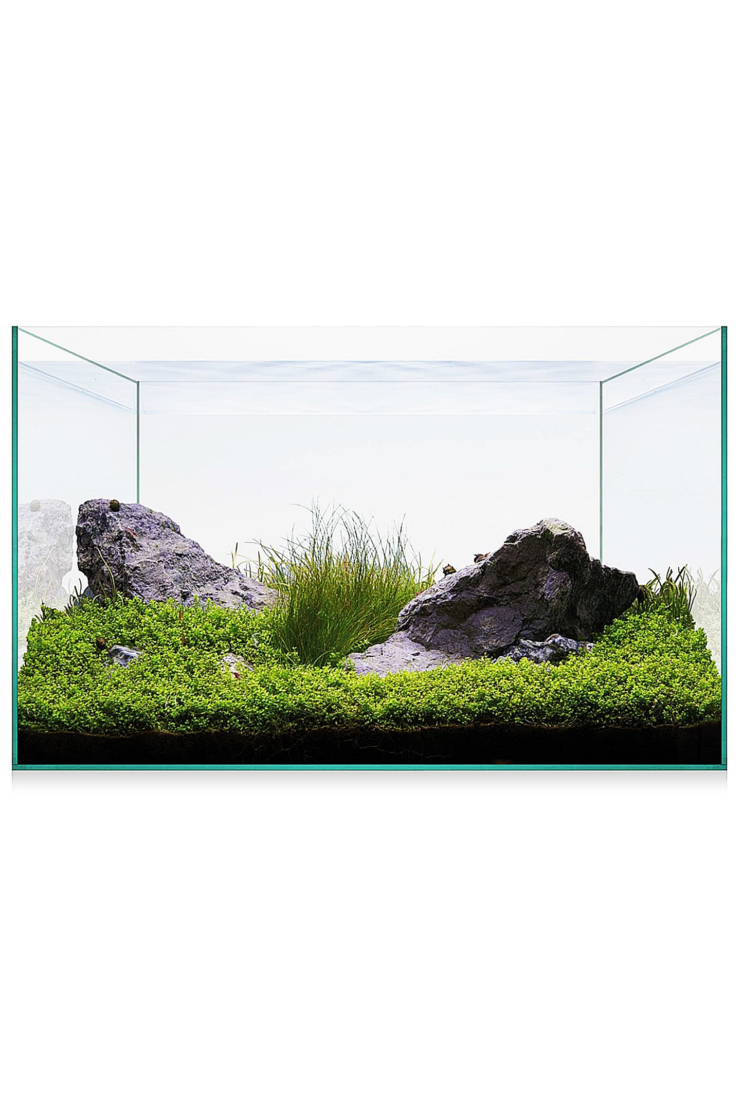 Urna AquaScape Basic 20 (18 litros)