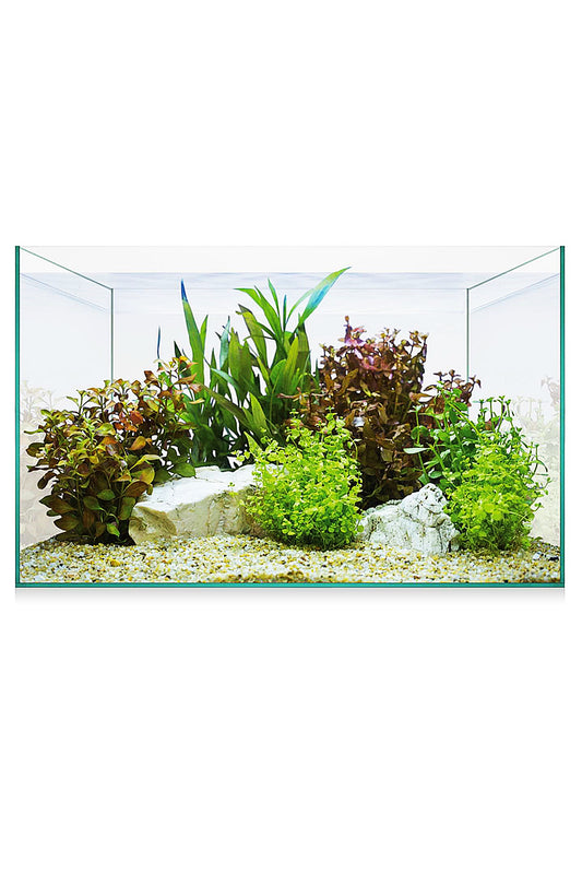 AquaScape Basic 8 Aquarium Kit (6,8 Liter)