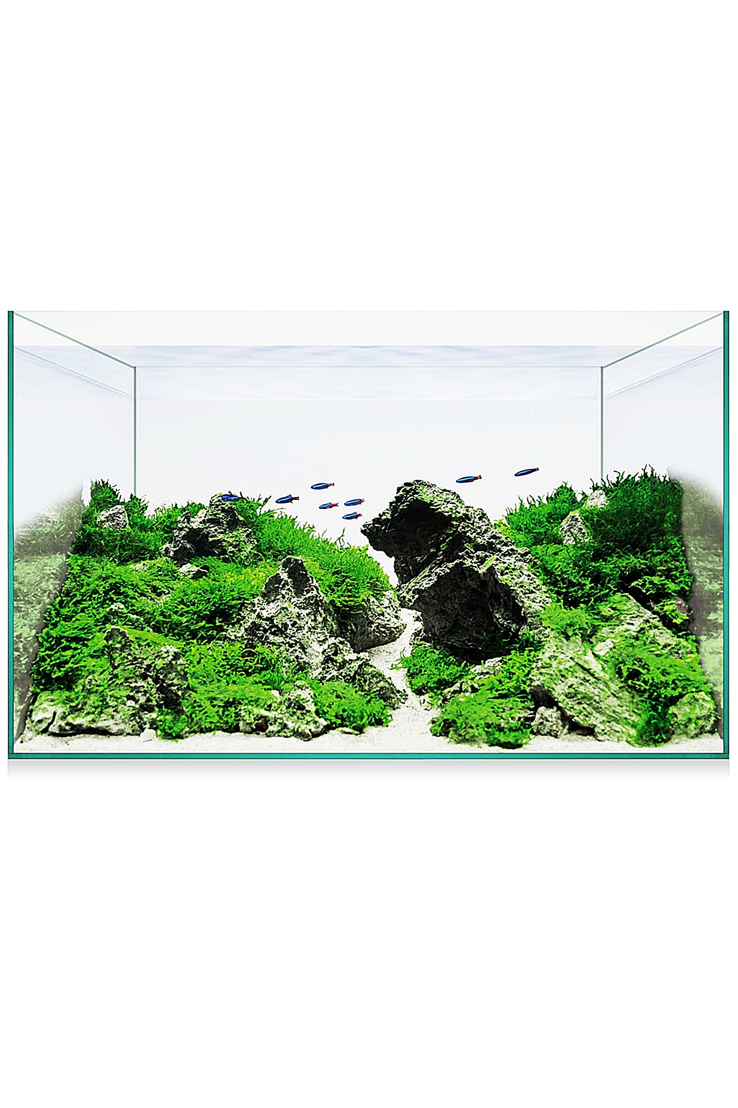 Acuario Kit AquaScape Basic 14 (12,7 litros)