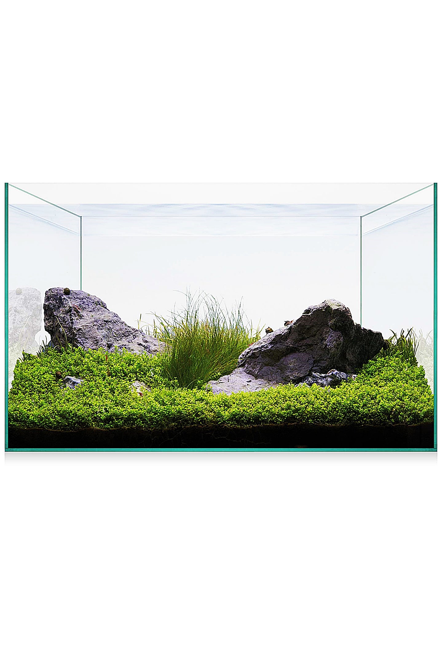 AquaScape Basic 20 Aquarium-Set (18 Liter)