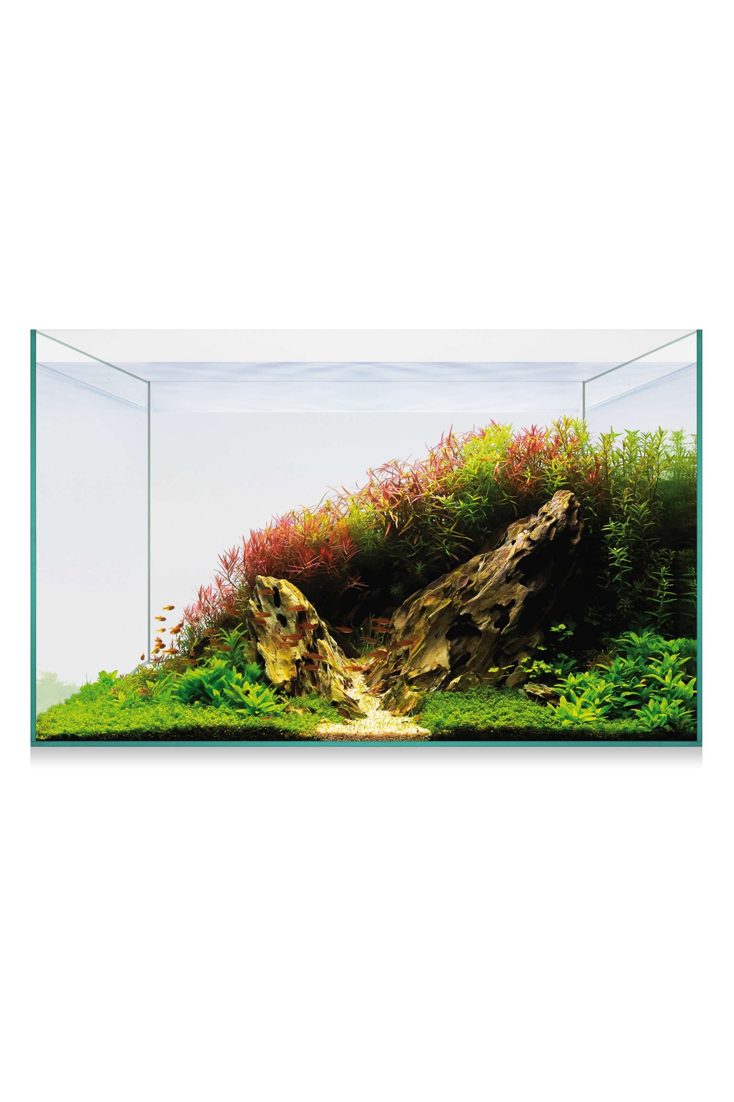 Acuario Kit AquaScape Basic 38 (34,4 litros)