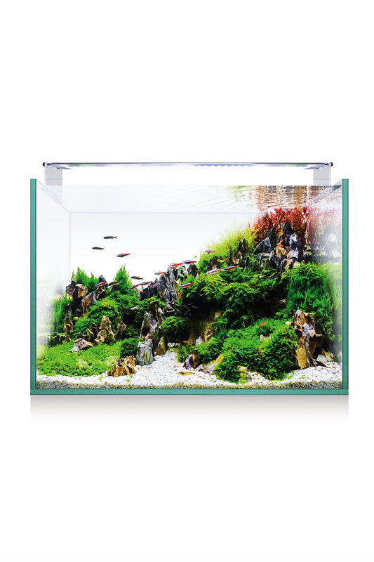 Kit Aquário AquaScape RGB 45 (45 litros)