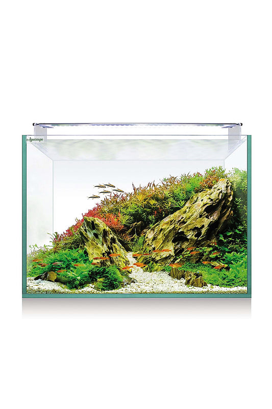 AquaScape RGB 68 Aquarium Kit (70 Liter)