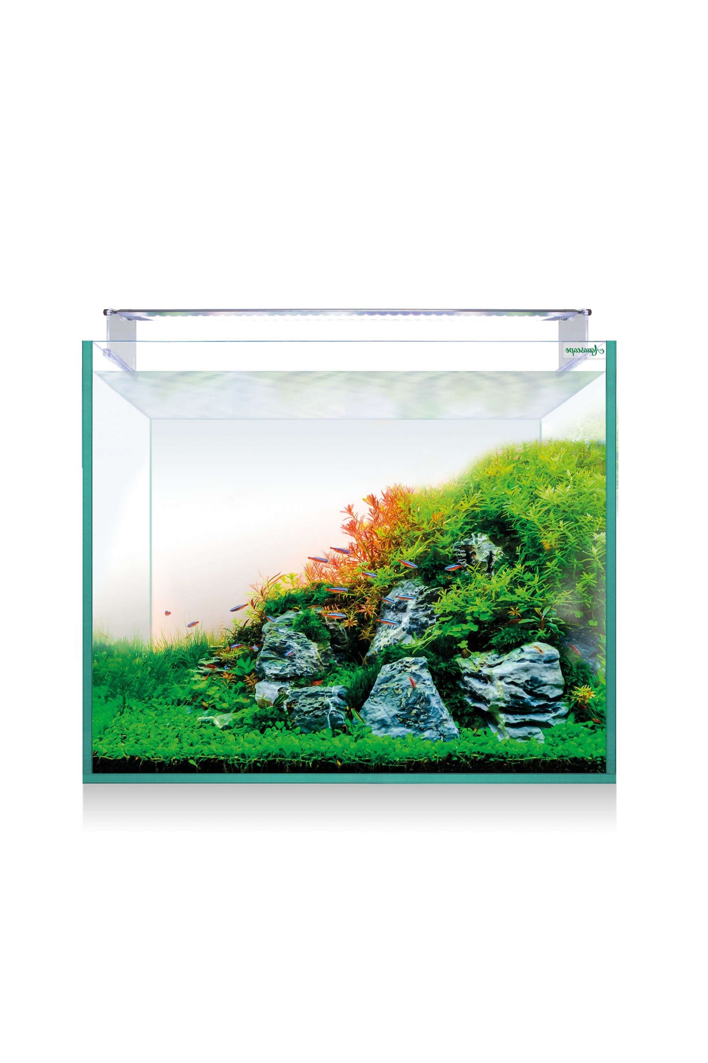 AquaScape RGB PRO Kit Aquário Extra Transparente 150 (136 litros)