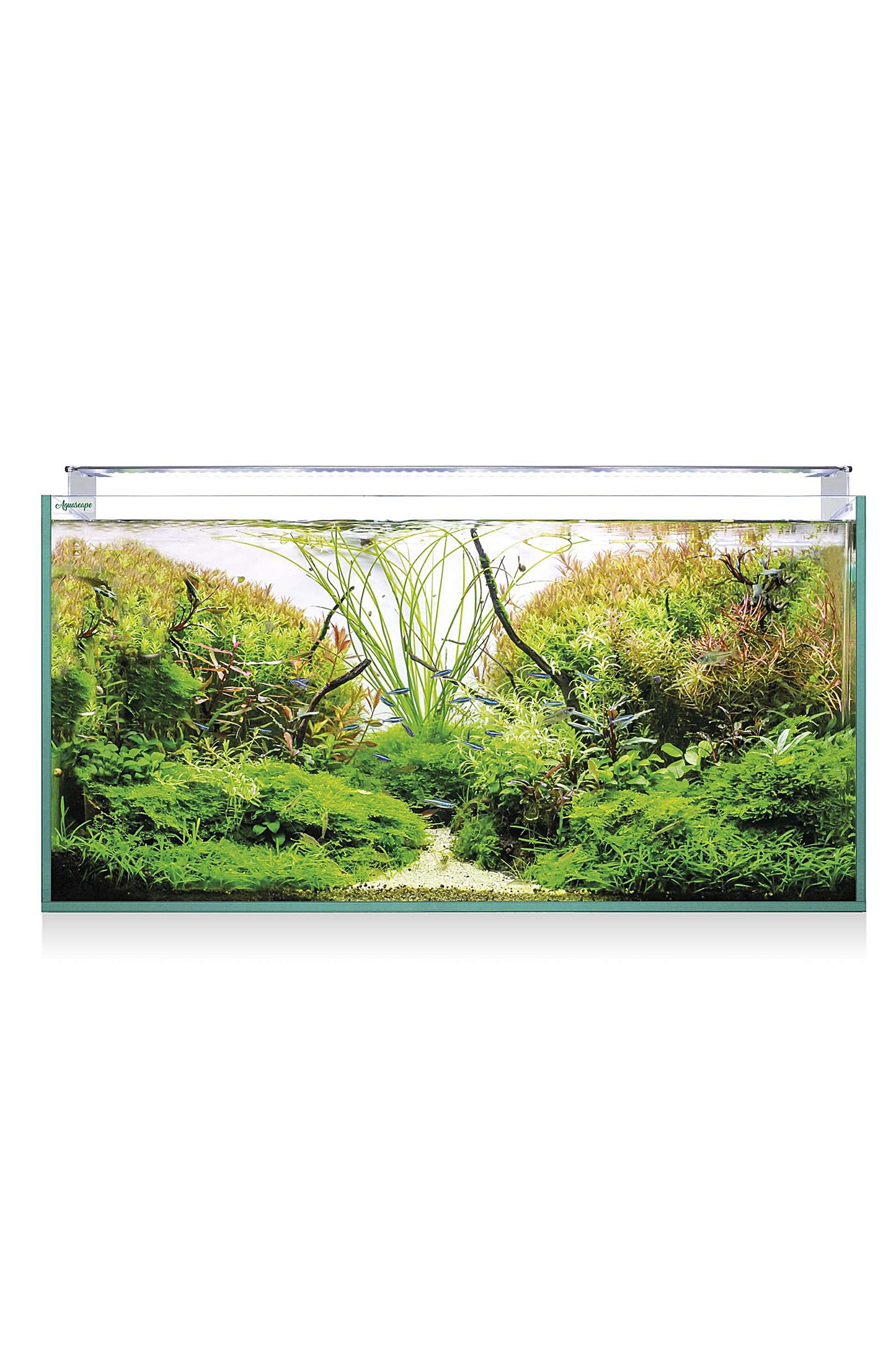 Acuario Kit AquaScape RGB PRO Extra Claro 250 (226 litros)