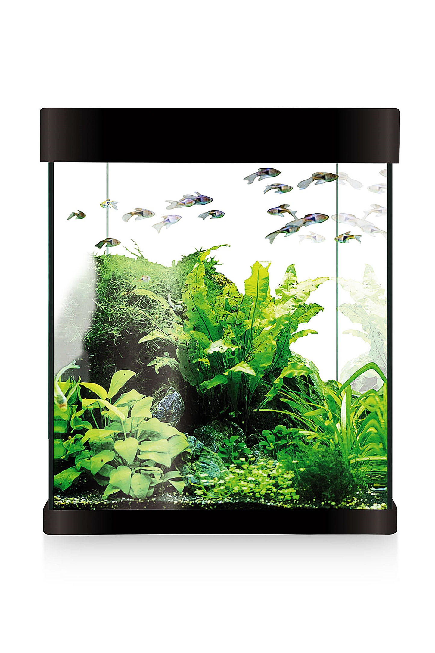 Acuario Kit Nano AquaLED Crystal 10 de 10 litros en Negro