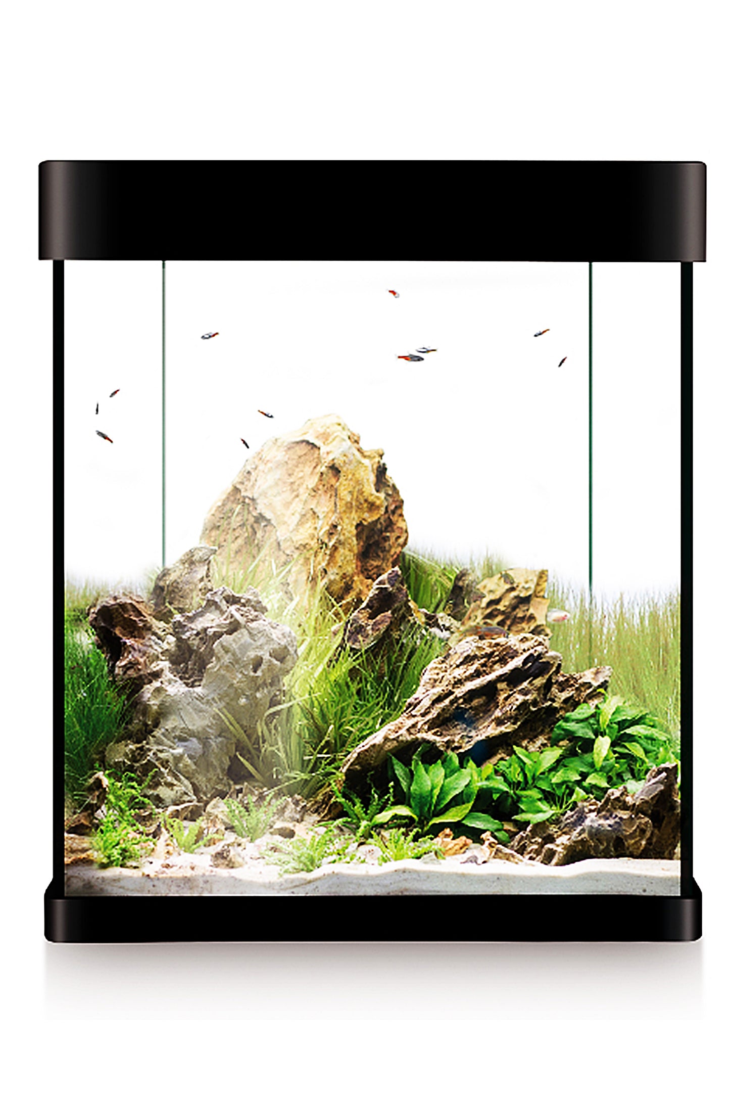 Acuario Kit Nano AquaLED Crystal 30 (30 litros) Negro