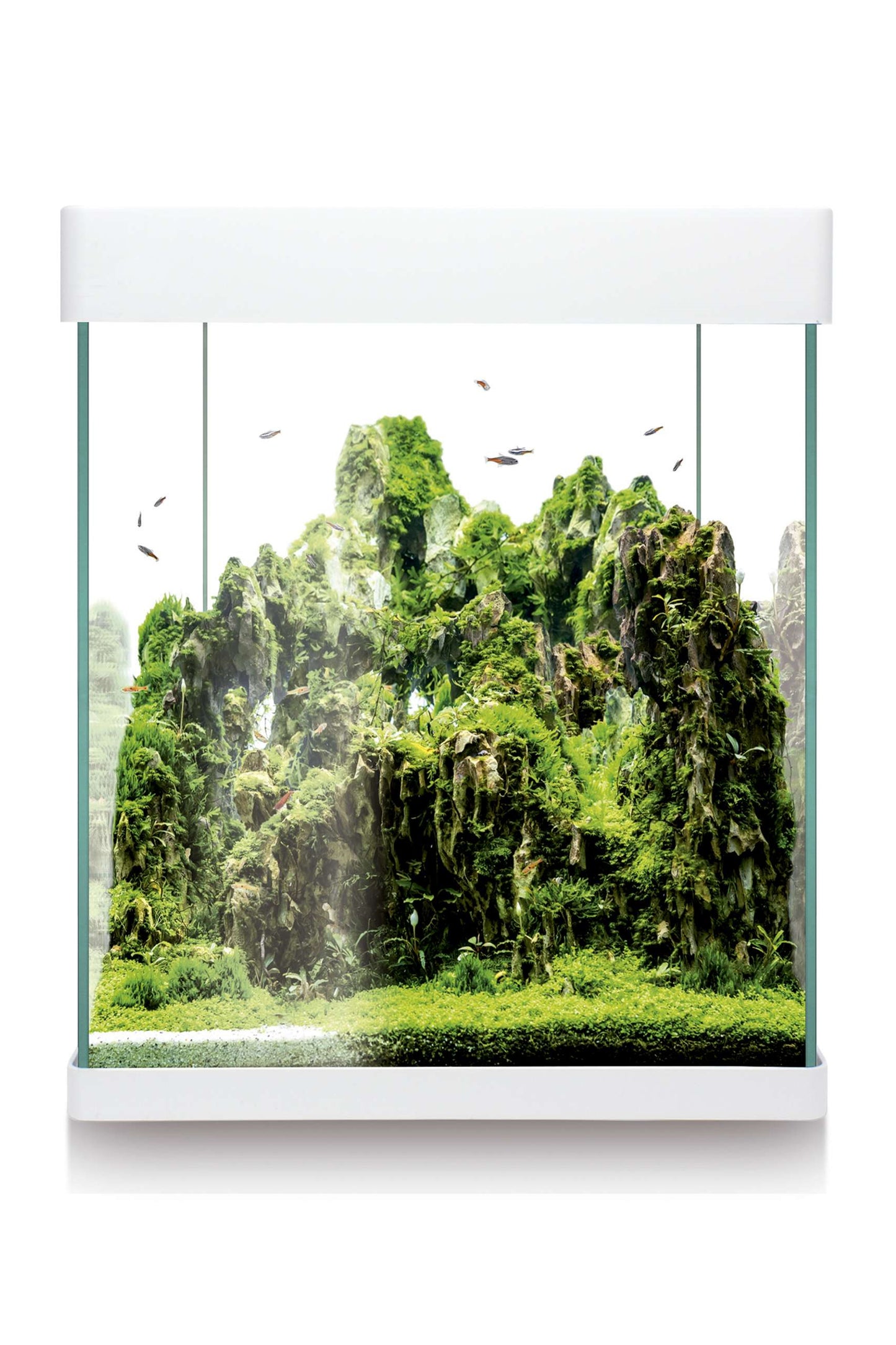 Acuario Kit Nano AquaLED RGB 30 de 25 litros en Blanco