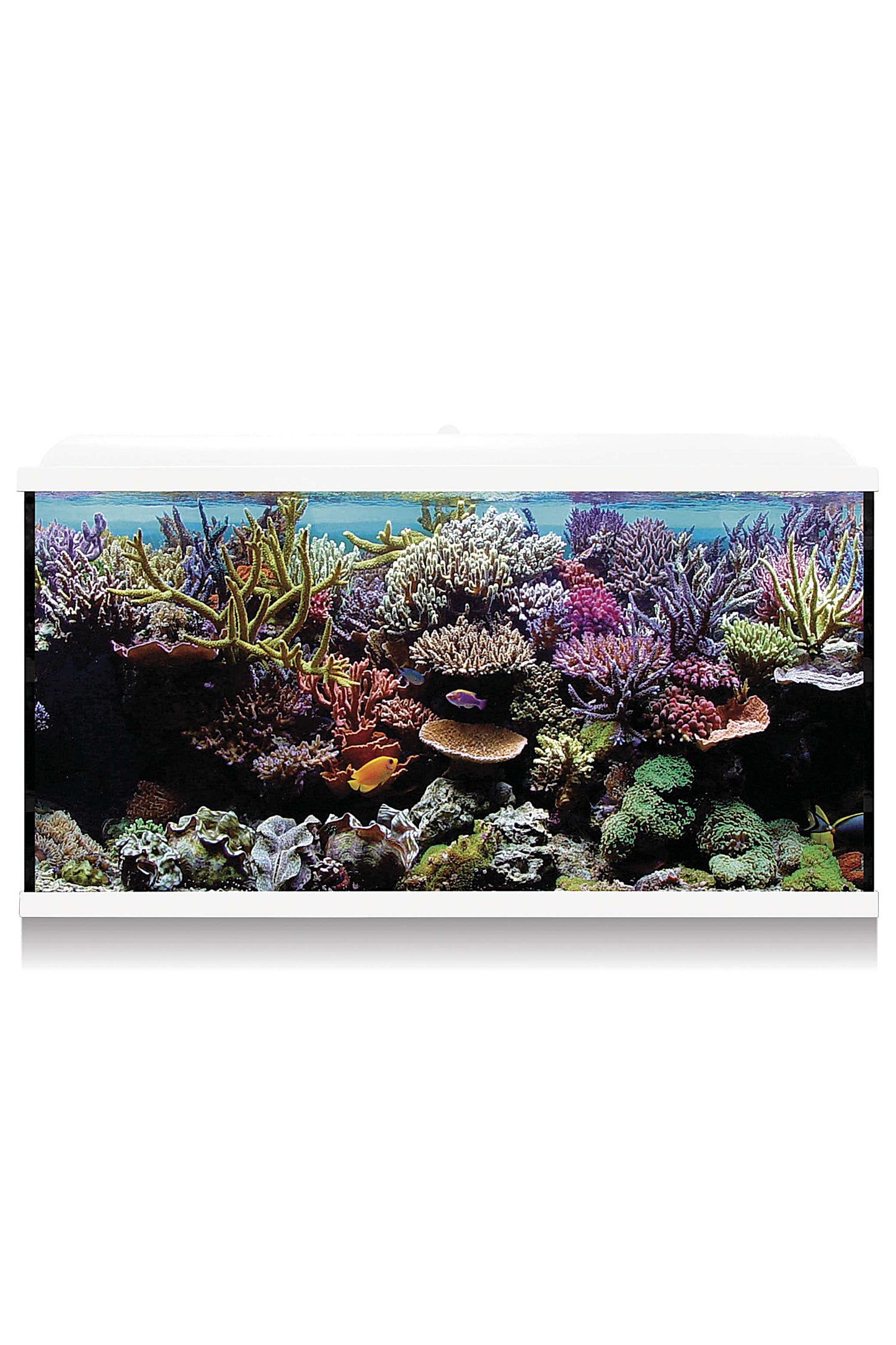 Acuario Kit Hydra 300 para marino (300 litros) Blanco