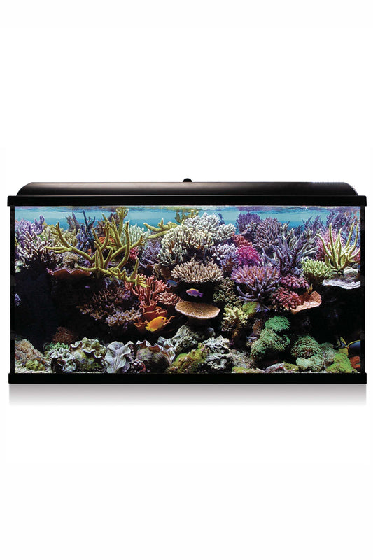 Aquarium-Kit Hydra 300 für Meerwasser (300 Liter) Schwarz