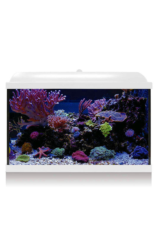 Aquarium-Kit Hydra 68 für Meerwasser (68 Liter) Weiß