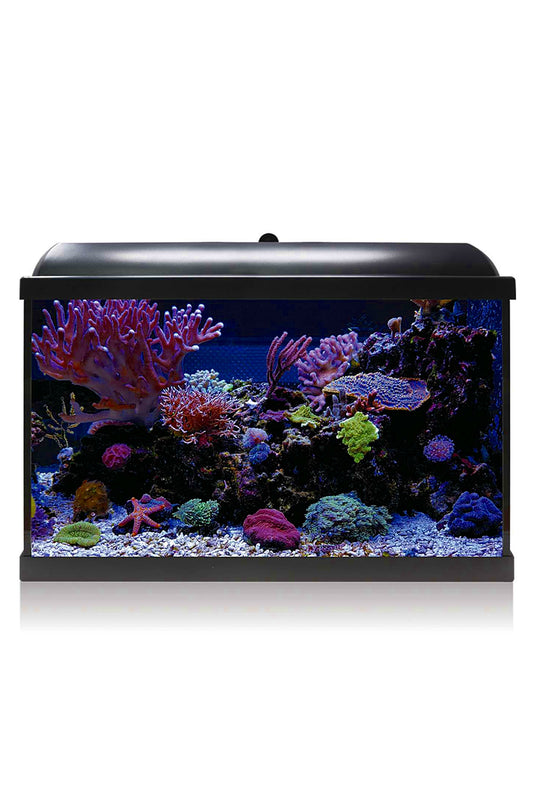 Aquarium-Kit Hydra 68 für Meerwasser (68 Liter) Schwarz