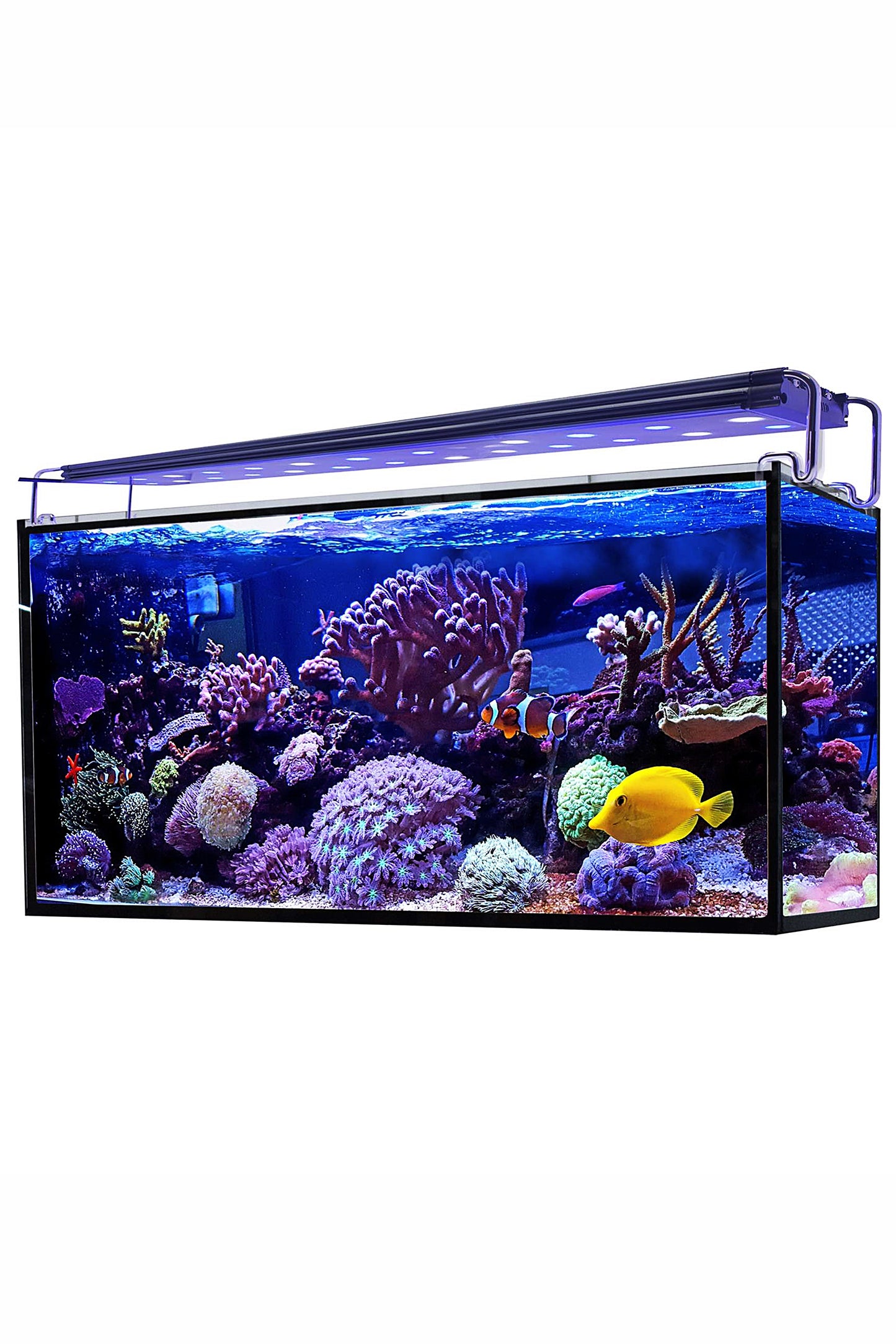 Acuario Marino AquaOcean Hydra 240 litros - Sin iluminación