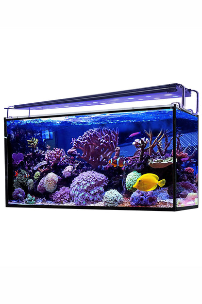 Acuario Marino AquaOcean Hydra 240 litros - Sin iluminación
