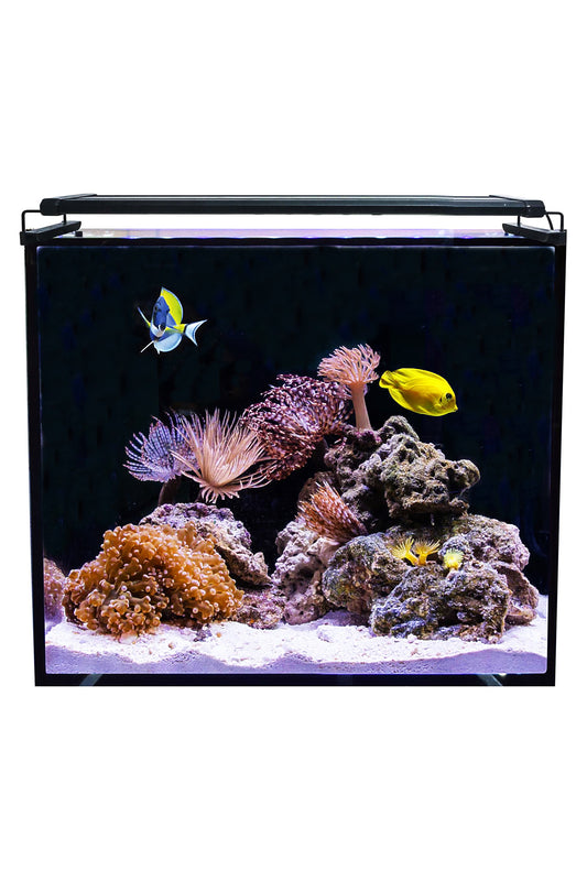 AquaOcean Hydra Meeresaquarium 164 Liter