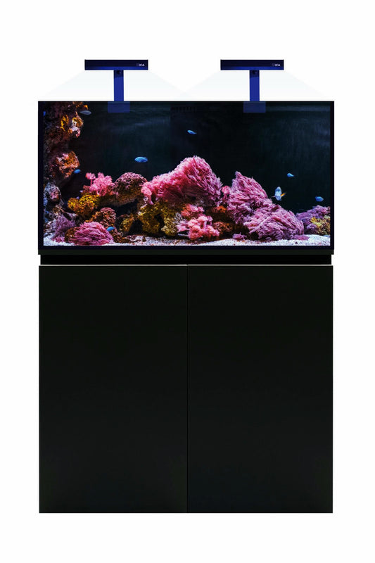 Meeresaquarium mit AquaOcean PRO Sumpf von 267 Litern – MarineLamp LED-Beleuchtung