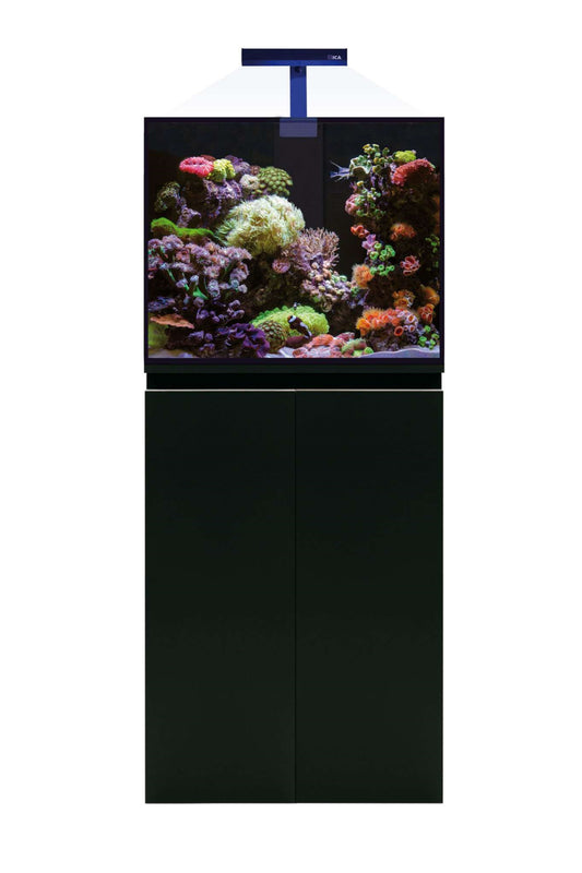 Meeresaquarium mit AquaOcean PRO Sumpf von 163 Litern – MarineLamp LED-Beleuchtung