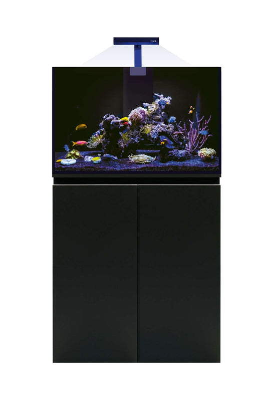 Meeresaquarium mit AquaOcean PRO Sumpf von 216 Litern – MarineLamp LED-Beleuchtung