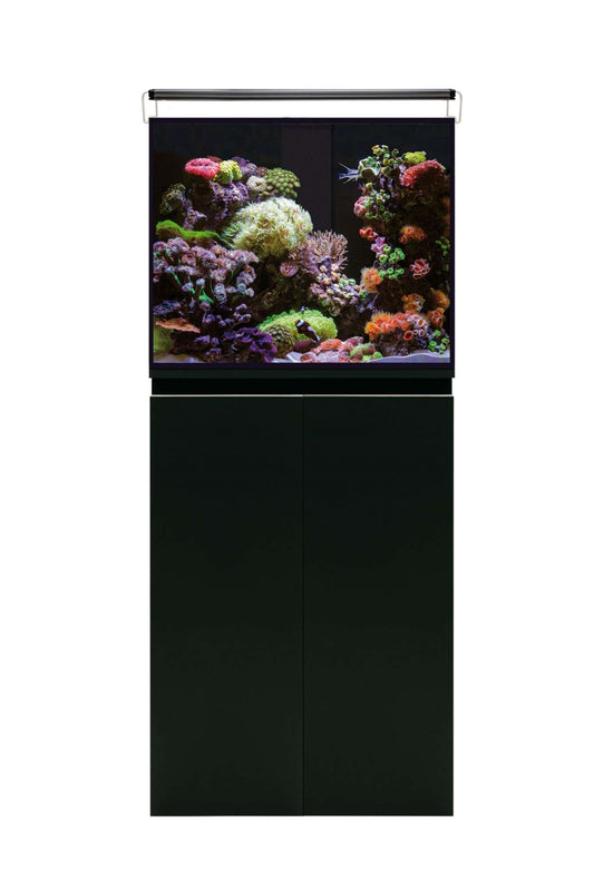 Meeresaquarium mit AquaOcean PRO Sumpf von 163 Litern – Coral LED PRO II Beleuchtung