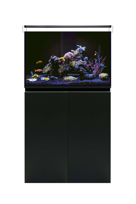 Meeresaquarium mit AquaOcean PRO Sumpf von 216 Litern – Coral LED PRO II Beleuchtung